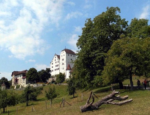 Schloss Wildegg in der
              Schweiz